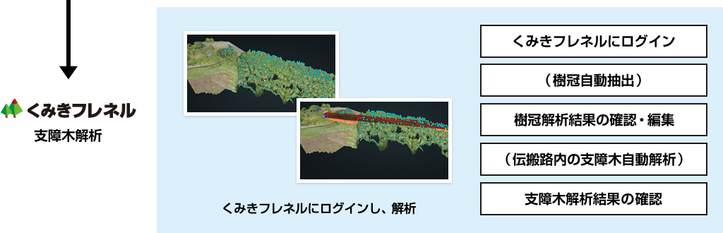 【くみきフレネル】くみきフレネルにログイン・樹冠自動抽出・樹冠解析結果の確認・編集・伝搬路内の支障木自動解析・支障木解析結果の確認